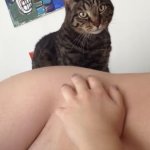 Alison Brie Sexy Poses Showing Off Her Nude Pussy In A Photo