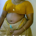 navel telegu saree antis nude images