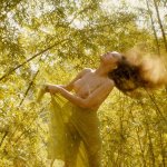 julie newmar nude