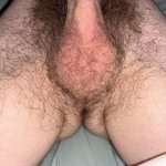 Like the bush?