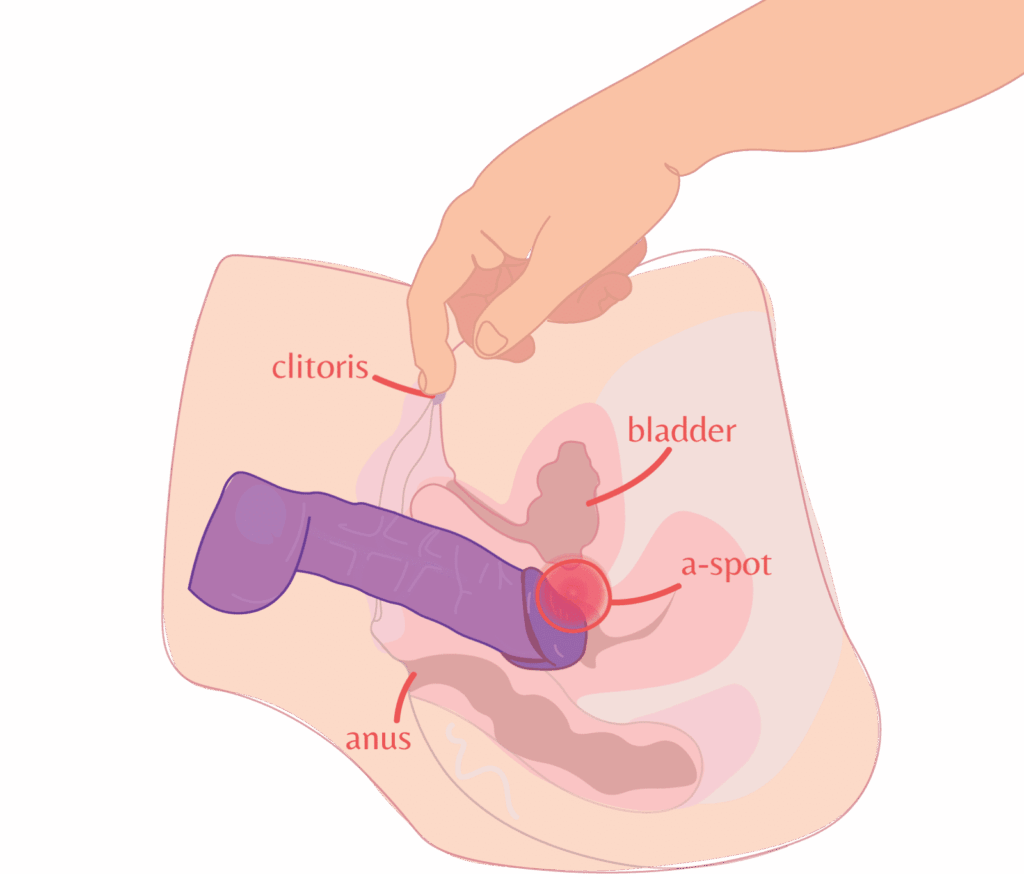 dildo-and-cumming-with-vibrator.png